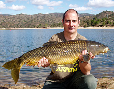 1042_Andalusian Barbel_Luciobarbus sclateri.jpg